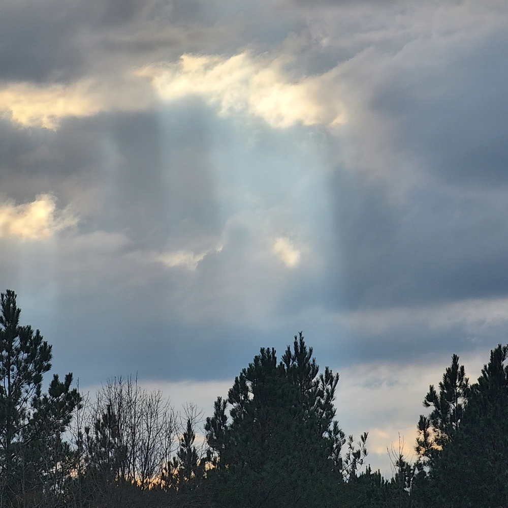 Meet your Posher, Kendra